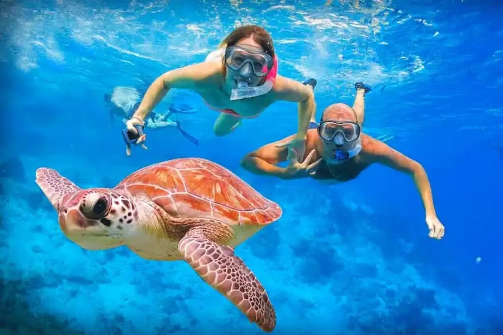Abu Dabbab turtle bay, Marsa Alam