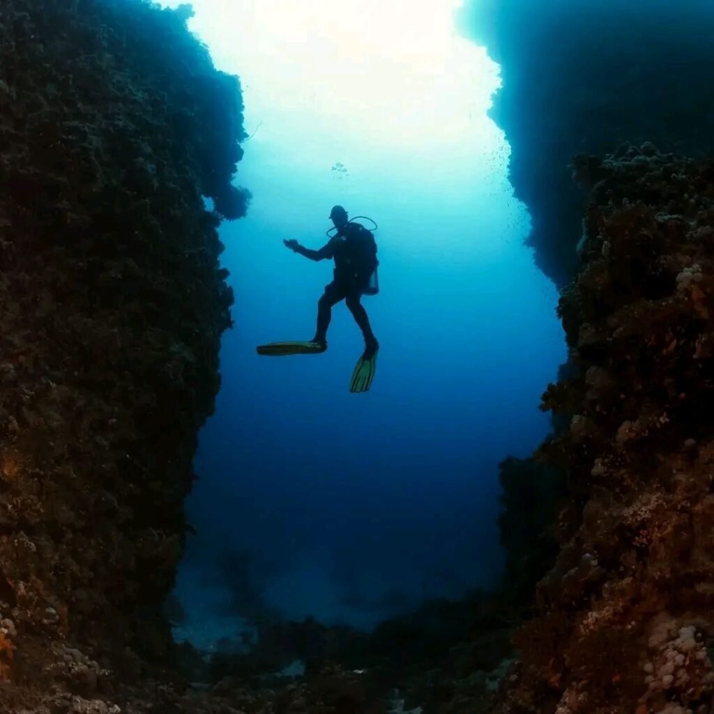 Diver floating between two coral walls in the Red Sea