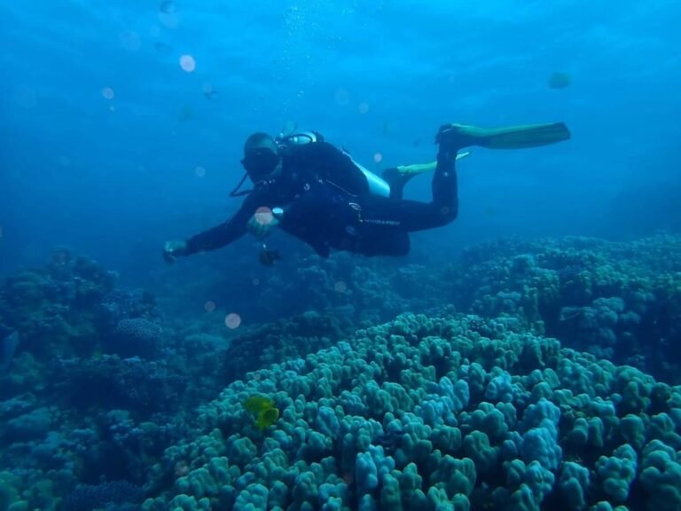 Diver swimming over a coral reef