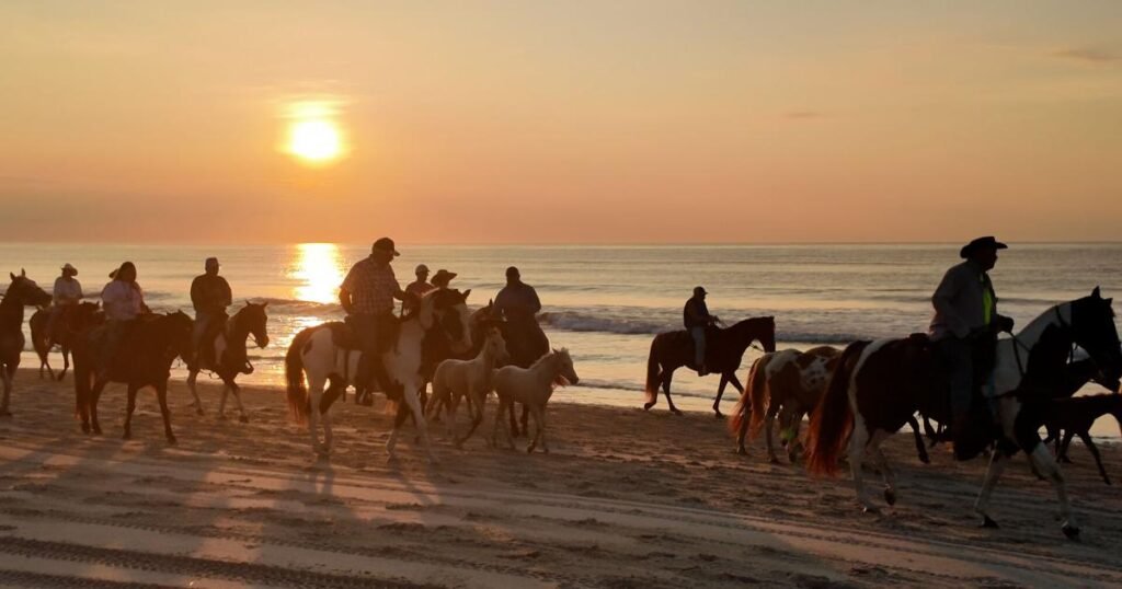 Horse riding, beach and desert, photo 2