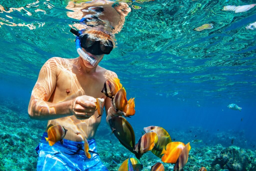 Orange Bay with diving